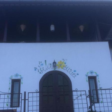 Vila Licurici Caciulata Exterior photo